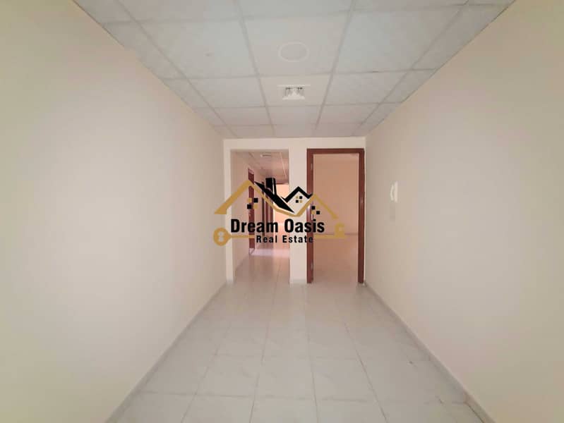 3 20250210_160005. jpg