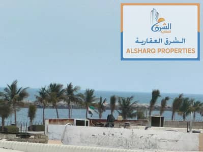1 Camera Appartamento in affitto a Corniche Ajman, Ajman - WhatsApp Image 2026-08-11 at 12.31. 44 PM. jpeg 1 Camera Appartamento in affitto a Corniche Ajman, Ajman - WhatsApp Image 2026-08-11 at 12.31. 44 PM. jpeg