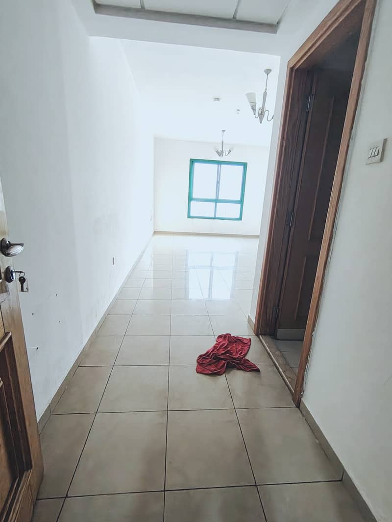 3 55988. jpg