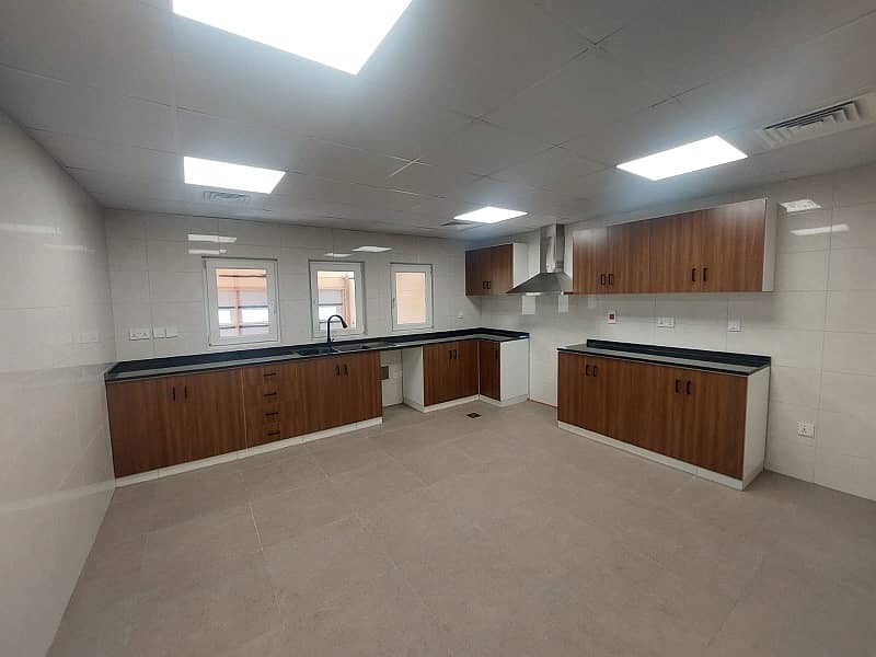 3 19. jpg