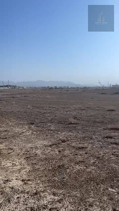 5 95. jpg