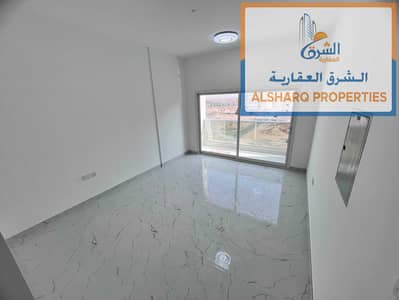 2 habitaciones Apartamento para en Alquiler en Al Alia, Ajman - 7c1fb337-ee85-45e8-975c-df2bd741c90a. jpg 2 habitaciones Apartamento para en Alquiler en Al Alia, Ajman - 7c1fb337-ee85-45e8-975c-df2bd741c90a. jpg
