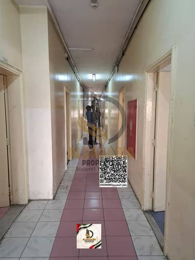 Трудовой лагерь в аренду в Аль Джурф, Аджман - WhatsApp Image 2026-08-16 at 6.49. 12 PM. jpeg. png Трудовой лагерь в аренду в Аль Джурф, Аджман - WhatsApp Image 2026-08-16 at 6.49. 12 PM. jpeg. png