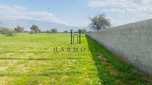 Plot in vendita a Al Degdaga, Ras Al Khaimah - IMG-20250711-WA0035. jpg