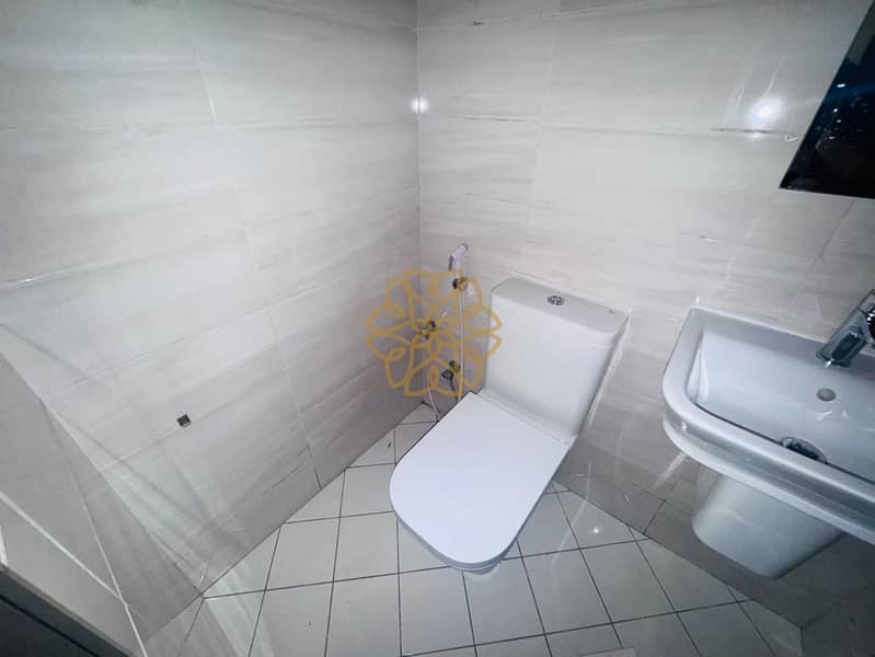 3 53673. jpg