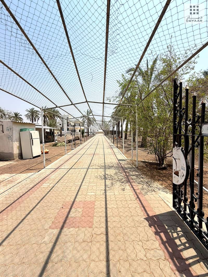 2 Dhaid_Farm_02. jpg