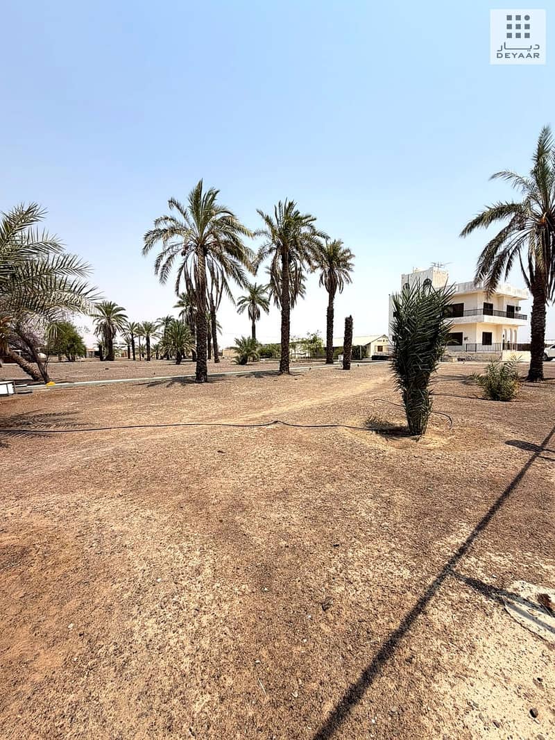 3 Dhaid_Farm_03. jpg