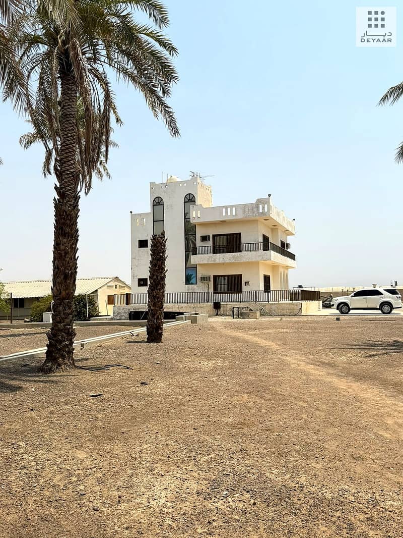 4 Dhaid_Farm_04. jpg