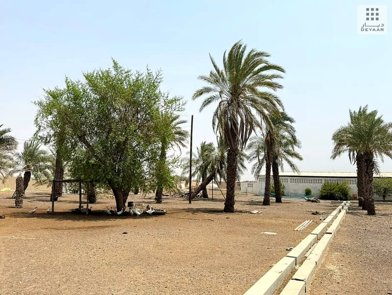 5 Dhaid_Farm_05. jpg