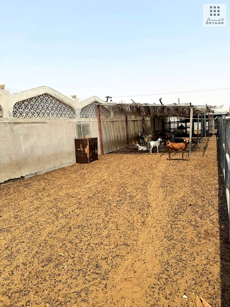 6 Dhaid_Farm_06. jpg
