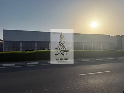 Showroom for Rent in Al Maqtaa, Umm Al Quwain - WhatsApp Image 2026-08-15 at 11.33. 18 AM (1). jpeg