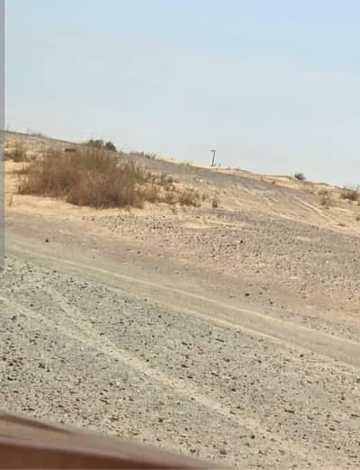 Plot for Sale in Al Maliha, Sharjah - WhatsApp Image 2026-08-02 at 5.36. 16 AM (1). jpeg