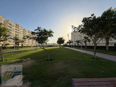 شقة 2 غرفة نوم للبيع في الياسمين، عجمان - 24760f89-0724-4dea-bf5a-5f449b995c09. jpg شقة 2 غرفة نوم للبيع في الياسمين، عجمان - 24760f89-0724-4dea-bf5a-5f449b995c09. jpg