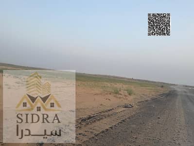 Plot for Sale in Al Alia, Ajman - 1002109542. jpg Plot for Sale in Al Alia, Ajman - 1002109542. jpg