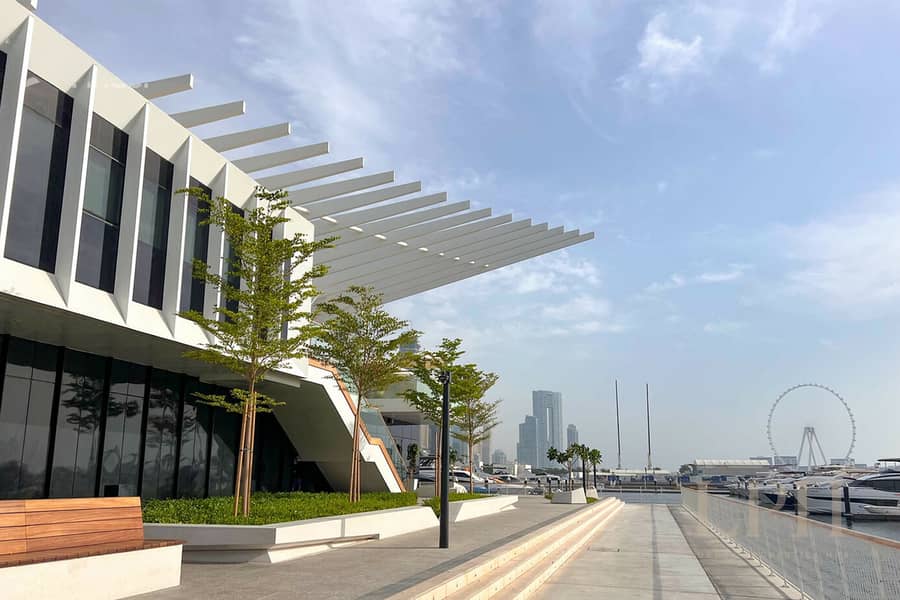 13 image_12