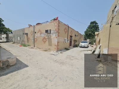 7 Schlafzimmer Villa zum zum Verkauf in Al Bustan, Ajman - WhatsApp Image 2026-08-19 at 1.44. 43 AM (2). jpeg 7 Schlafzimmer Villa zum zum Verkauf in Al Bustan, Ajman - WhatsApp Image 2026-08-19 at 1.44. 43 AM (2). jpeg
