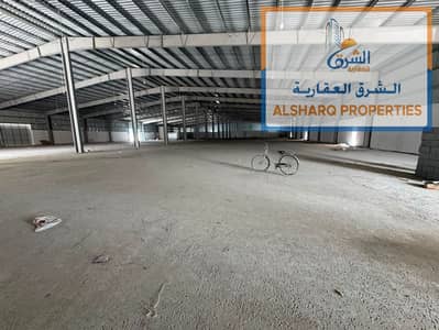 Warehouse de à à louer à Ajman Industrial, Ajman - WhatsApp Image 2026-08-11 at 12.17. 26 PM (1). jpeg Warehouse de à à louer à Ajman Industrial, Ajman - WhatsApp Image 2026-08-11 at 12.17. 26 PM (1). jpeg