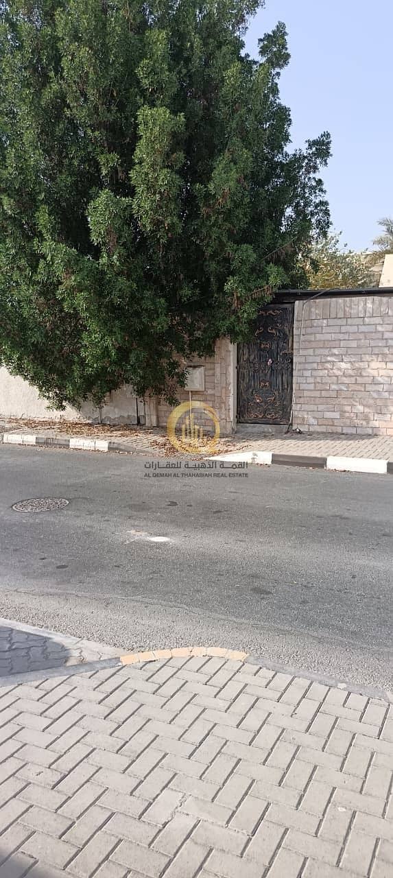 4 WhatsApp Image 2026-08-19 at 2.14. 51 PM (1). jpeg