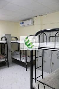 3 BEDROOM