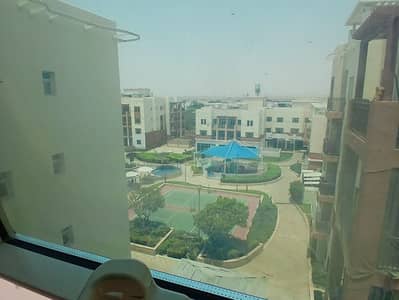 1 Bedroom Apartment for Rent in Al Ghadeer, Abu Dhabi - 09d43aa4-ef9e-4cf4-914d-fa637b883078. jpg 1 Bedroom Apartment for Rent in Al Ghadeer, Abu Dhabi - 09d43aa4-ef9e-4cf4-914d-fa637b883078. jpg