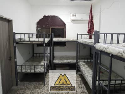 Labour Camp for Rent in Al Rashidiya, Ajman - WhatsApp Image 2026-08-20 at 12.18. 36 PM. jpeg Labour Camp for Rent in Al Rashidiya, Ajman - WhatsApp Image 2026-08-20 at 12.18. 36 PM. jpeg