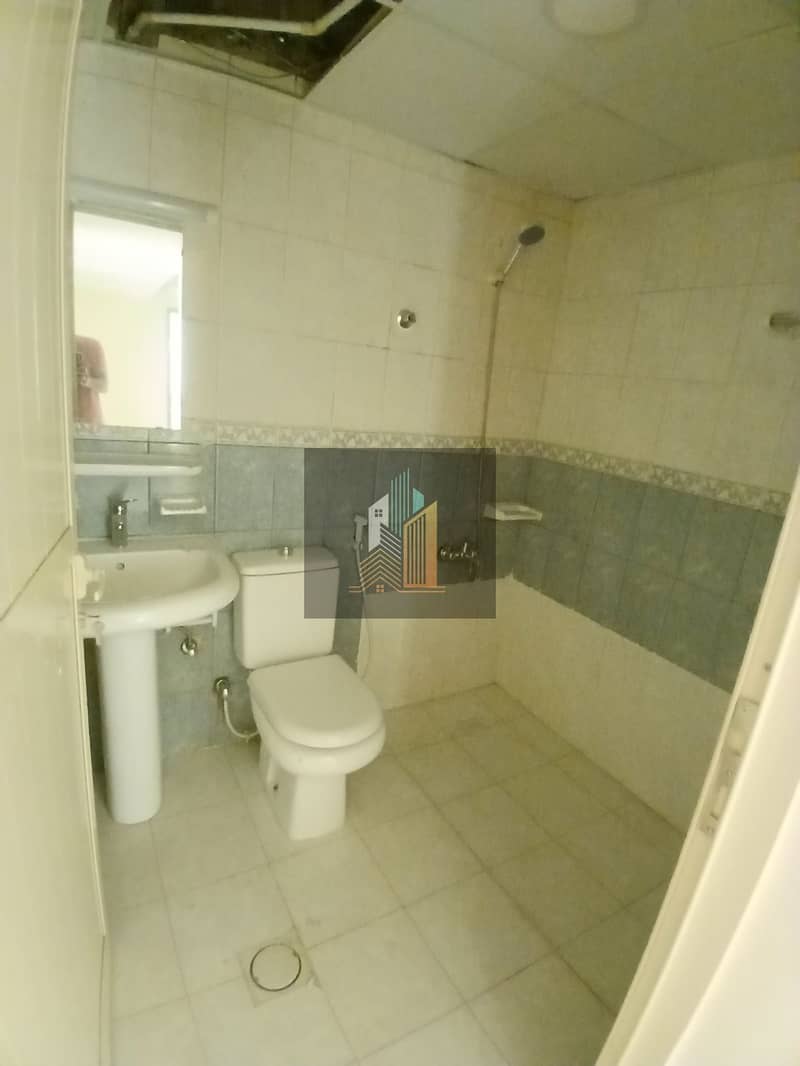 5 84455. jpg