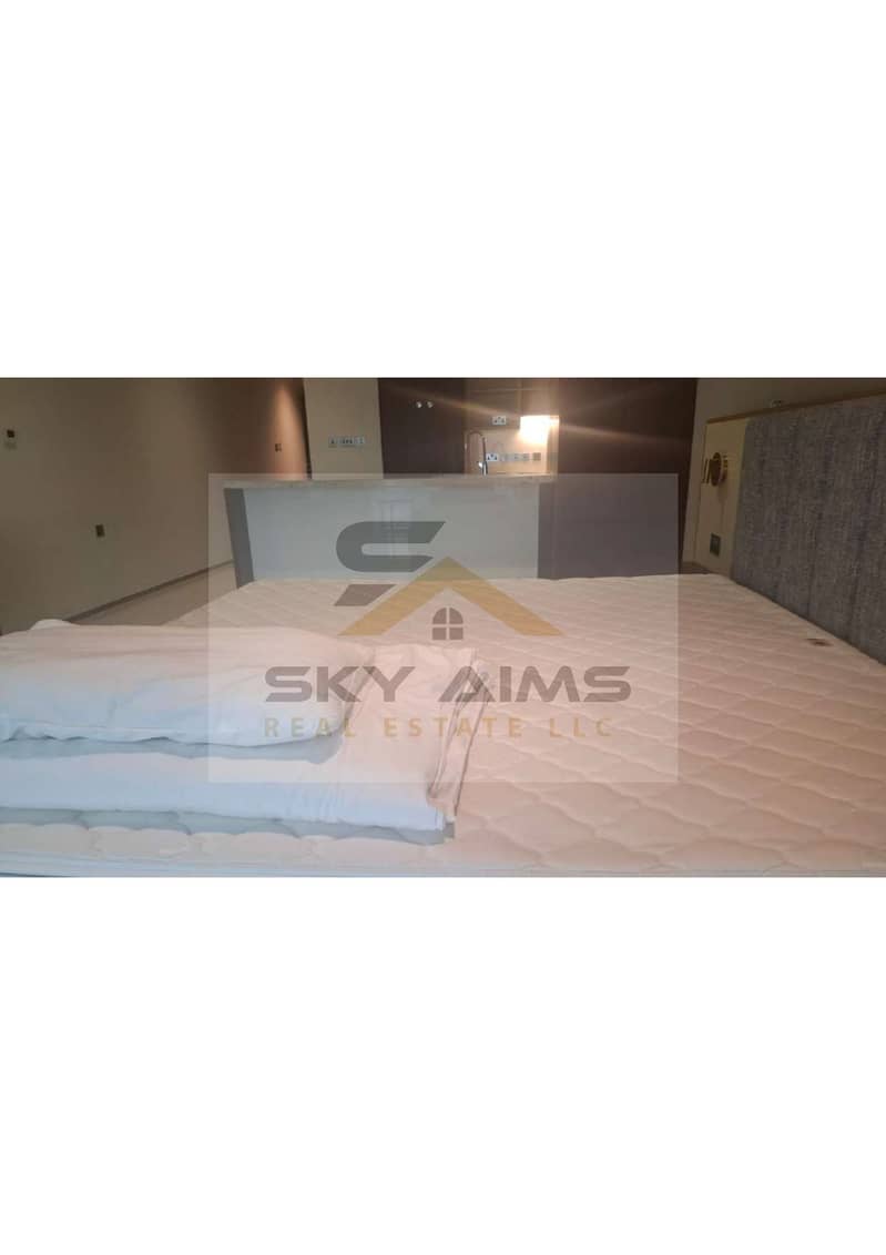 2 PARK PLACE STUDIO FURNISHED_page-0001. jpg
