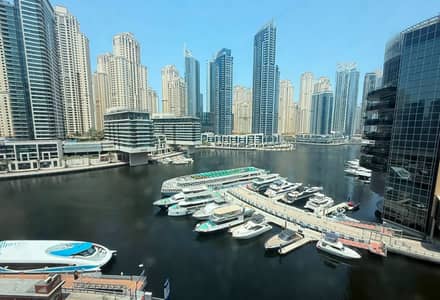 迪拜码头， 迪拜 1 卧室单位待租 - 位于迪拜码头，置银大厦，置银大厦B座 1 卧室的公寓 100000 AED - 16240691