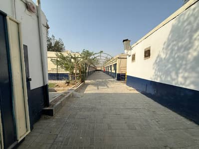 Labour Camp in affitto a Al Sajaa, Sharjah - WhatsApp Image 2026-08-20 at 7.24. 44 PM. jpeg Labour Camp in affitto a Al Sajaa, Sharjah - WhatsApp Image 2026-08-20 at 7.24. 44 PM. jpeg