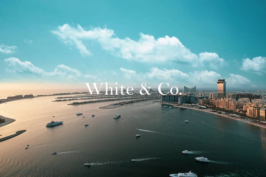 Appartement à Dubai Harbour,Emaar Beachfront,Seapoint,Seapoint Tower 1, 3 chambres, 9729888 AED - 16245828 Appartement à Dubai Harbour,Emaar Beachfront,Seapoint,Seapoint Tower 1, 3 chambres, 9729888 AED - 16245828