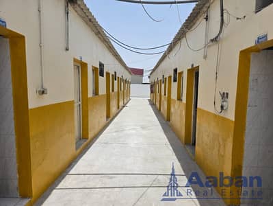 Labour Camp for Rent in Al Sajaa Industrial, Sharjah - WhatsApp Image 2026-07-11 at 13.18. 05. jpeg