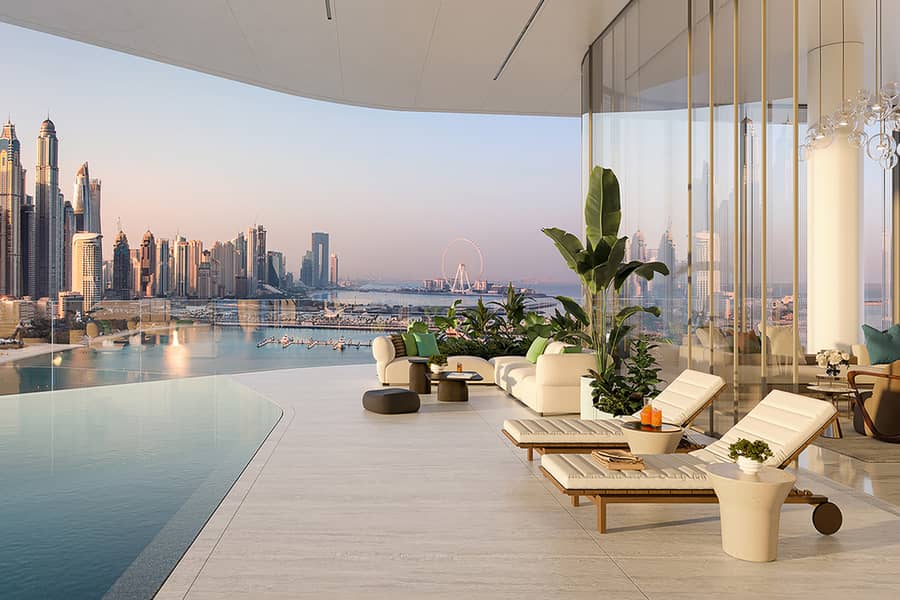 3 AVA_Palm-3. jpg