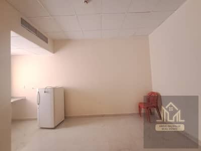استوديو  للايجار في مويلح، الشارقة - 1000178375. jpg