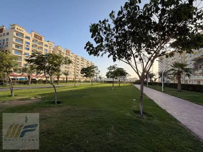 استوديو للبيع في الياسمين، عجمان - 253cfeeb-8ee3-447a-85b0-9de8786ae3ba. jpg استوديو للبيع في الياسمين، عجمان - 253cfeeb-8ee3-447a-85b0-9de8786ae3ba. jpg