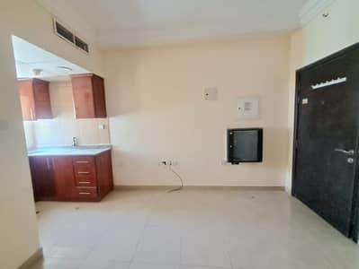 Studio for Rent in Muwaileh Commercial, Sharjah - 12063. jpg Studio for Rent in Muwaileh Commercial, Sharjah - 12063. jpg