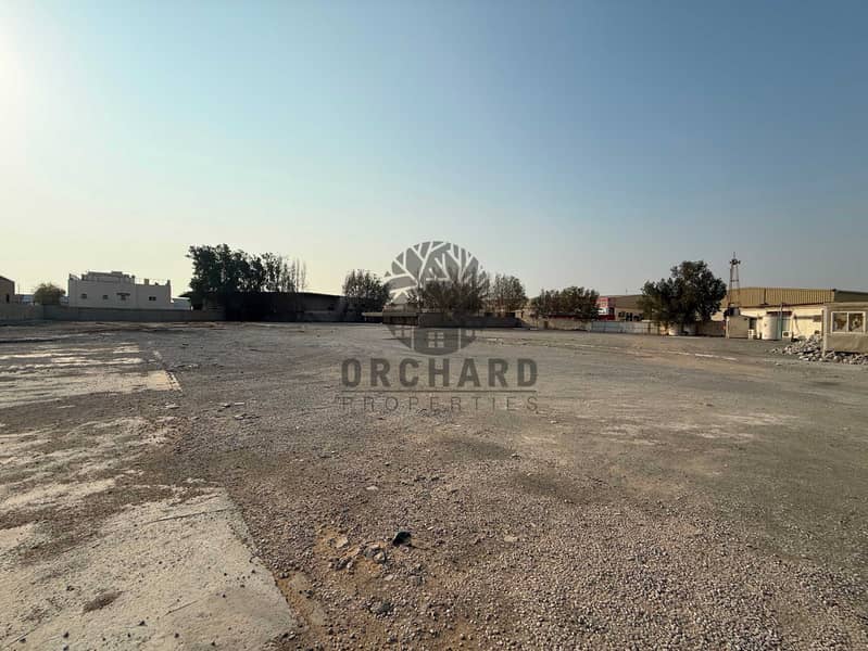 1000386236. jpg 1000386236. jpg