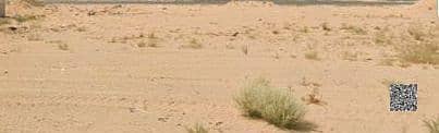 Industrial Land in vendita a Al Jurf, Ajman - WhatsApp Image 2026-07-07 at 3.36. 53 PM (2). jpeg Industrial Land in vendita a Al Jurf, Ajman - WhatsApp Image 2026-07-07 at 3.36. 53 PM (2). jpeg
