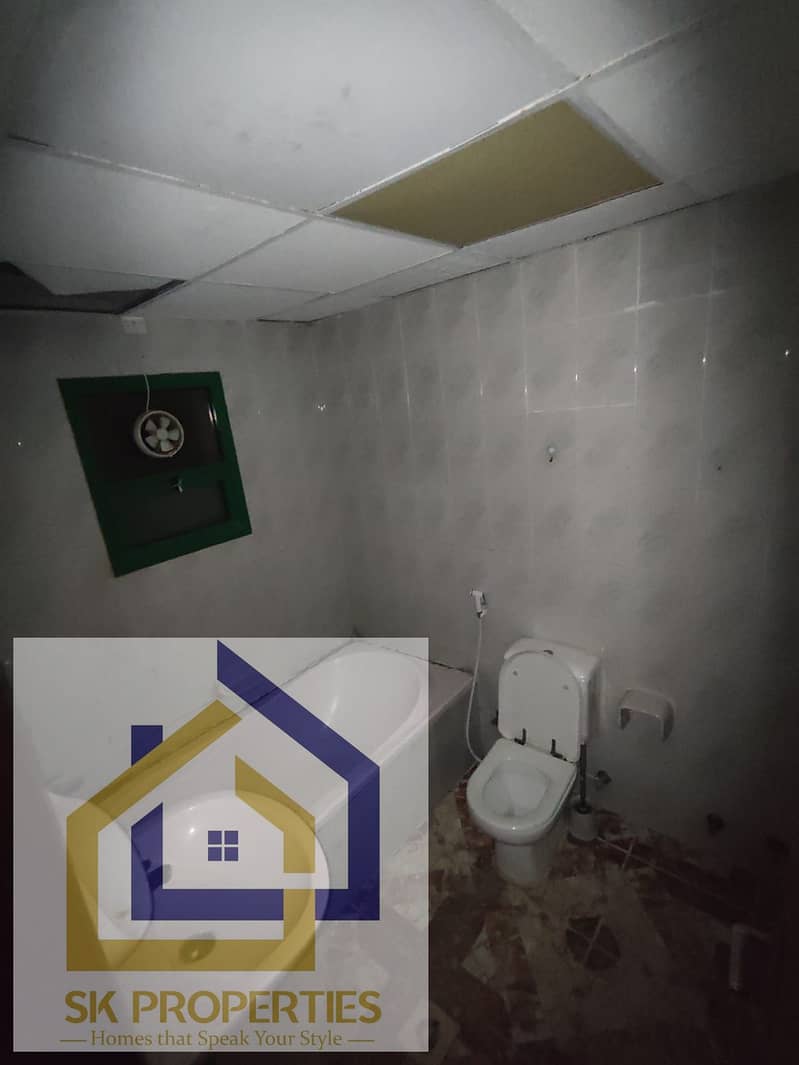 10 1000204328. jpg