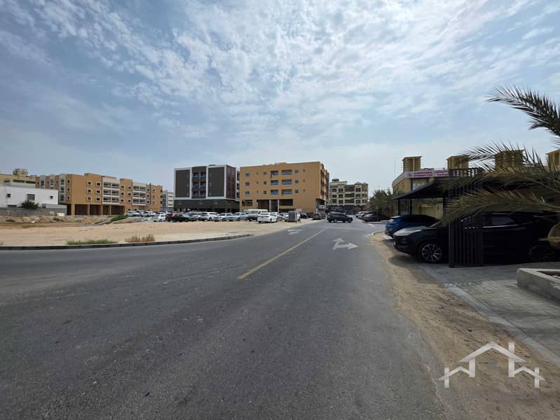 4 20260822_100519. jpg