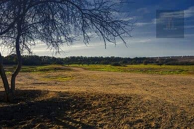 Plot for Sale in Al Maliha, Sharjah - green-agricultural-lands-and-fields-thumbnail-126317. webp