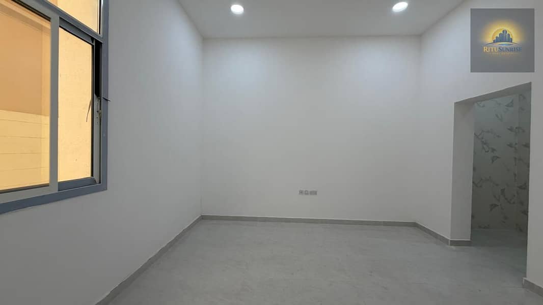 11 389085. jpg