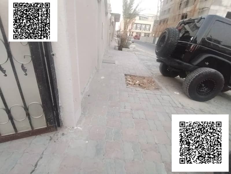 10 1000137677. jpg