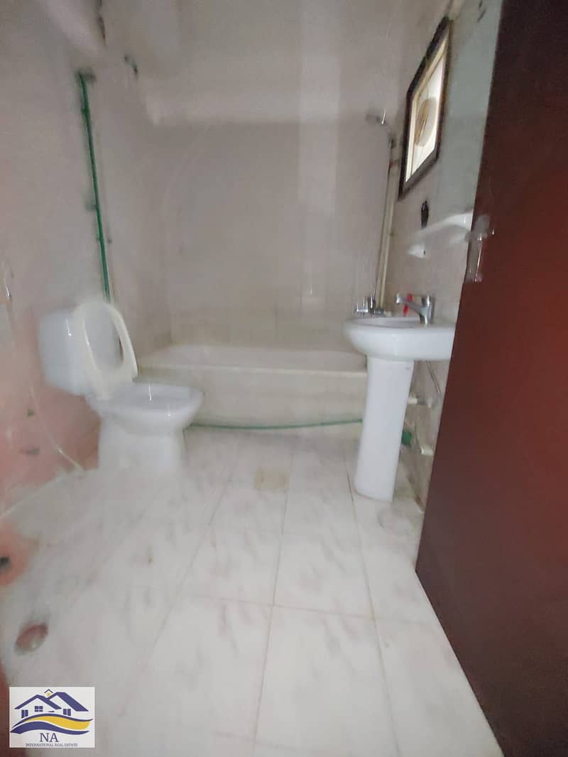 6 380. jpg