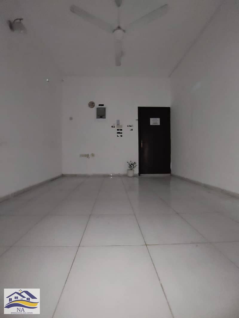 7 362. jpg