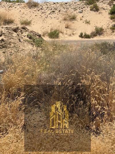 Plot para en Venta en Al Sehma, Sharjah - WhatsApp Image 2026-06-02 at 14.30. 14 (11). jpeg Plot para en Venta en Al Sehma, Sharjah - WhatsApp Image 2026-06-02 at 14.30. 14 (11). jpeg