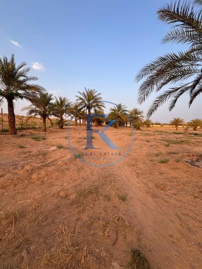 Mixed Use Land de  à à vendre à Remah, Al Ain - WhatsApp Image 2026-08-05 at 6.45. 28 PM. jpeg