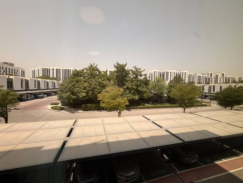 5 56450. jpg