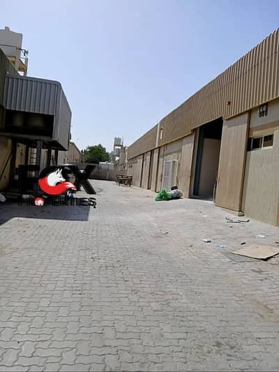 Warehouse for Rent in Al Jurf, Ajman - WhatsApp Image 2026-08-23 at 3.27. 15 PM (2). jpeg