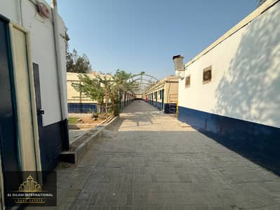 Labour Camp for Rent in Al Sajaa, Sharjah - WhatsApp Image 2026-08-20 at 7.24. 44 PM. jpeg Labour Camp for Rent in Al Sajaa, Sharjah - WhatsApp Image 2026-08-20 at 7.24. 44 PM. jpeg