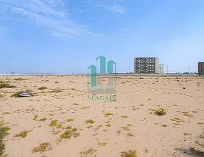 Plot zum zum Verkauf in Liwara 1, Ajman - WhatsApp Image 2026-03-28 at 10.27. 18 AM (2). jpeg Plot zum zum Verkauf in Liwara 1, Ajman - WhatsApp Image 2026-03-28 at 10.27. 18 AM (2). jpeg